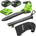 Aspirateur Souffleur Sans fil de Feuilles à Batterie Bandoulière, 48V, Moteur Sans Balais – Greenworks, Vert/Noir, 24V x 2, 386km/h, 14.73m3/min