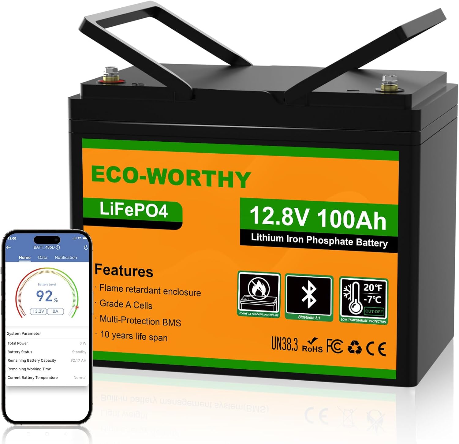 Batterie à décharge profonde, Batterie LiFePO4 avec Protection à Basse Température, pour caravanes – ECO-WORTHY, Noir/Orange