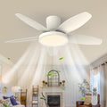 Qcyuui 106cm Ventilateur Plafond avec Lumière LED Silencieux, 6 Vitesses, Télécommande, Contrôle Séparé pour Chambre Salon Cuisine